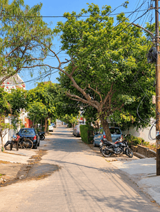 Image of 2475 Sq.ft Residential Plot / Land for sale in Ashiyana, Lucknow for Rs. 22500000