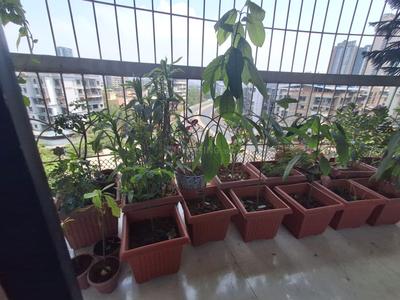 Balcony Image of 1650 Sq.ft 3 BHK Apartment / Flat for sale in Sanpada Navi Mumbai for Rs. 41000000