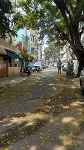 Image of 2600 Sq.ft 5 BHK Independent House for sale in Sanjaynagar, Bengaluru for Rs. 31500000
