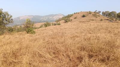Image of 480000 Sq.ft Residential Plot / Land for sale in Panshet, Pune for Rs. 78000000