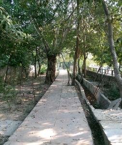 Image of 300 Sq.ft Residential Plot / Land for sale in NDA RWA, Sector 51, Noida for Rs. 81500000