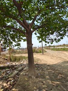 Image of 1250 Sq.ft Residential Plot / Land for sale in Jhalwa, Allahabad for Rs. 5450000