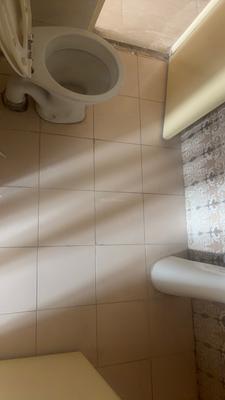 Image of 1185 Sq.ft 2 BHK Apartment / Flat for rent in Gaur City 7th Avenue, Noida Extension, Greater Noida for Rs. 25100