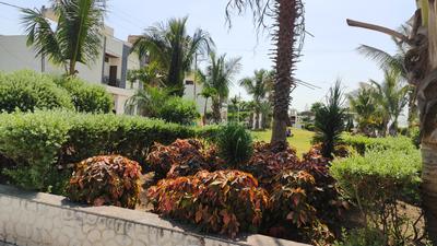 Image of 800 Sq.ft Residential Plot / Land for sale in Pragati Paras Park, Sanwer, Indore for Rs. 3600000