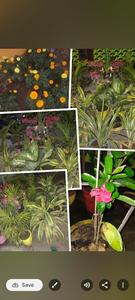 Balcony Image of 3740 Sq.ft 12 BHK Independent House for sale in Shankarpur Colony Cuttack for Rs. 27000000