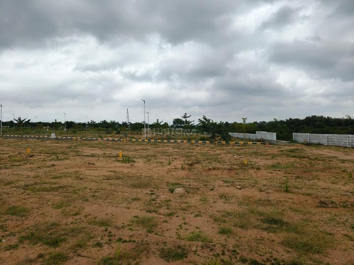 harmony woods Main Image 1