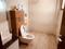 Bathroom Image of Oriole pg homes in Sector 45, Gurgaon