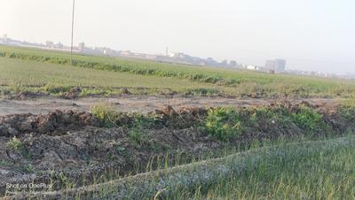 Sampatchak Green City Plot View 2