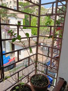 Balcony Image of 550 Sq.ft 2 BHK Apartment / Flat for sale in Santoshpur Kolkata for Rs. 3500000