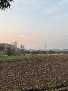 Simrol Plot View 2