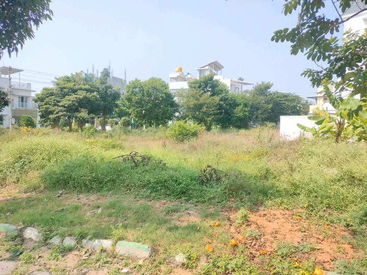 Green Cascade Main Image 1