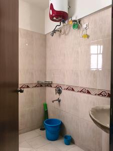 Image of 1275 Sq.ft 2 BHK Apartment / Flat for rent in Pashan, Pune for Rs. 48000
