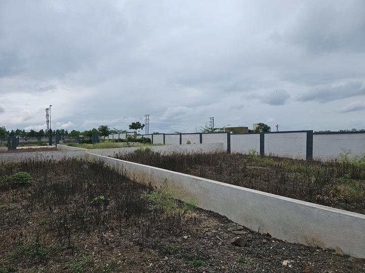 Uruli Kanchan Main Image 1