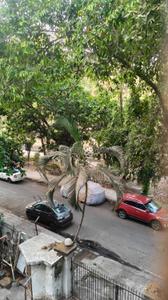 Balcony Image of 580 Sq.ft 1 BHK Apartment / Flat for rent in Sanpada Navi Mumbai for Rs. 35000