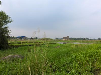 Diamond Park Plot View 2