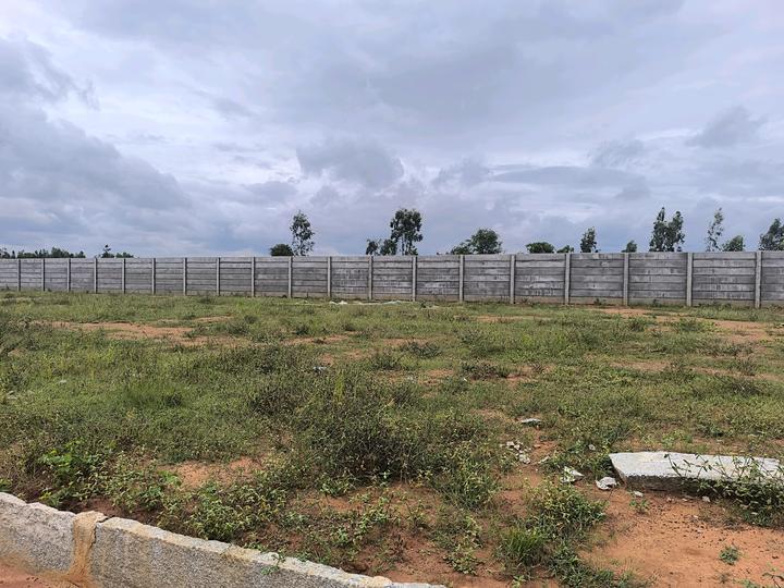 Telecom layout Main Image 1