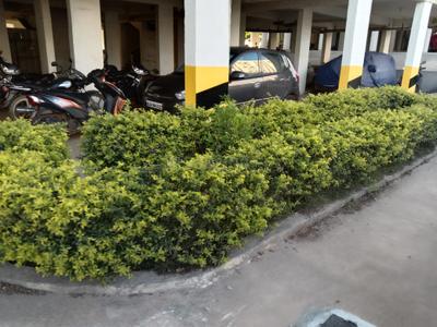 Image of 1350 Sq.ft 3 BHK Apartment / Flat for sale in Apartment, Bommasandra, Bengaluru for Rs. 5700000