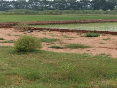 Image of 1000 Sq.ft Residential Plot / Land for sale in Benupur, Bhubaneswar for Rs. 2300000