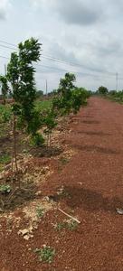 Image of 2200 Sq.ft Residential Plot / Land for sale in Amleshwar, Raipur for Rs. 1586201