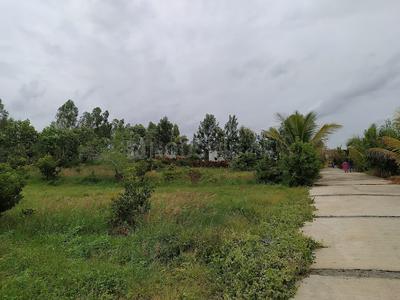 Image of 5000 Sq.ft Residential Plot / Land for sale in Pushpam Lush County, Gudighattanahalli, Bengaluru for Rs. 12000000