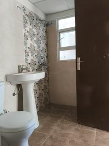 Common Bathroom Image of 1100 Sq.ft 2 BHK Apartment / Flat for rent in Amrapali Verona Heights, Noida Extension Greater Noida for Rs. 16000