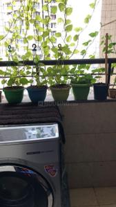 Balcony Image of 961 Sq.ft 2 BHK Apartment / Flat for sale in Peninsula Ashok Gardens, Parel Mumbai for Rs. 42500000