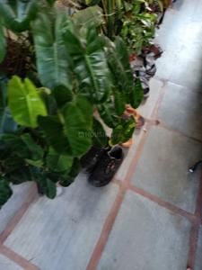 Balcony Image of 1500 Sq.ft 3 BHK Independent House for sale in Diwalipura Vadodara for Rs. 8500000