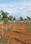 Moolakaraipatti Main Image 1