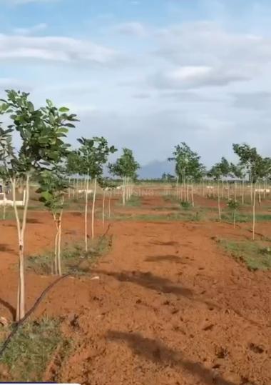 Moolakaraipatti Main Image 1