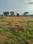 Karamadai Plot View 2