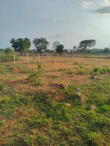 Karamadai Plot View 2