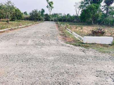 Kothavalasa Plot View 2