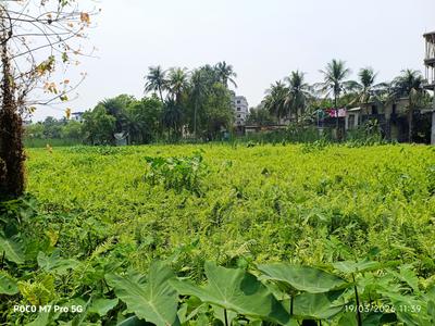 Image of 1440 Sq.ft Residential Plot / Land for sale in Kaikhali, Kolkata for Rs. 6500000
