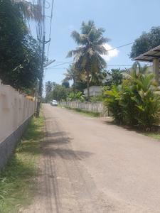 Image of 3702 Sq.ft Residential Plot / Land for sale in Nellikunnu, Thrissur for Rs. 1000000