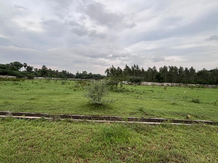 Ramapuram Main Image 1