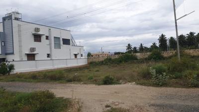 Karamadai More Images 3