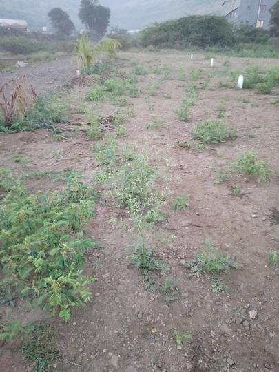 Zep Womens Sarthak Main Image 1