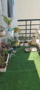Balcony Image of 999 Sq.ft 2 BHK Apartment / Flat for sale in Saibya Senary, Harlur Bengaluru for Rs. 5800000