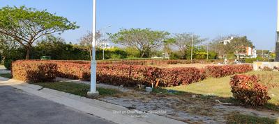 Image of 3875 Sq.ft Residential Plot / Land for sale in Cornerstone Campan Valley 2, Muthasandra, Bengaluru for Rs. 40687500