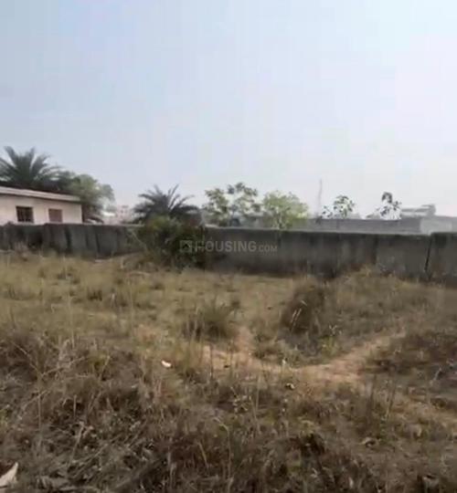 Animisha property Main Image 1