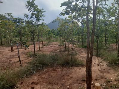 Image of 200 Sq.ft Residential Plot / Land for sale in Kothavalasa, Visakhapatnam for Rs. 1300000