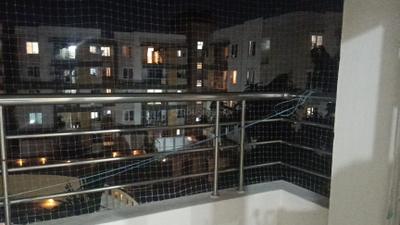 Balcony Image of 1238 Sq.ft 2 BHK Apartment / Flat for rent in Jyothi GT Enclave, Doddakannelli Bengaluru for Rs. 40000