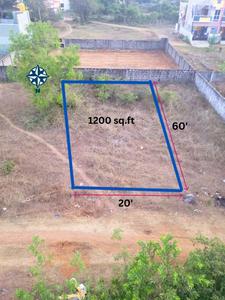 Residential Plot