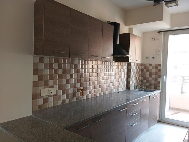 Tulip Violet Main Image 1