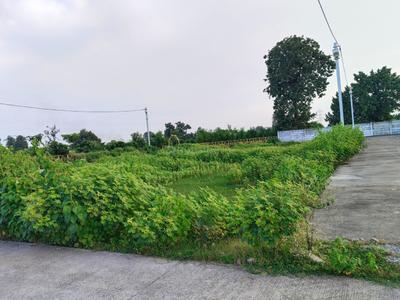 Image of 1000 Sq.ft Residential Plot / Land for sale in Bodri, Bilaspur for Rs. 1150000