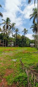 Image of 2178 Sq.ft Residential Plot / Land for sale in Ayyanthole, Thrissur for Rs. 700000