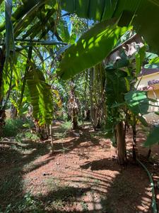 Image of 1200 Sq.ft 3 BHK Independent House for sale in Ayyanthole, Thrissur for Rs. 8800000