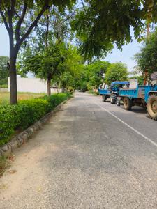 Image of 147 Sq.ft Residential Plot / Land for sale in M2K Olive Greens, Sector 104, Gurgaon for Rs. 18500000