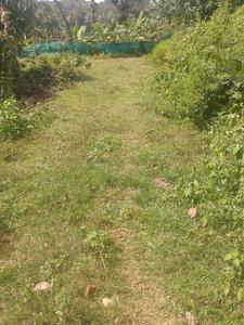 Image of 10890 Sq.ft Residential Plot / Land for sale in Killannur, Thrissur for Rs. 3125000