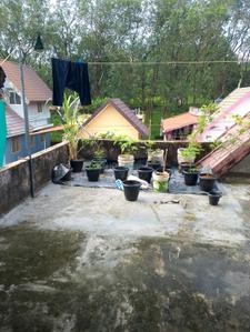 Image of 1200 Sq.ft 4 BHK Independent House for sale in Vengola, Kochi for Rs. 4000000